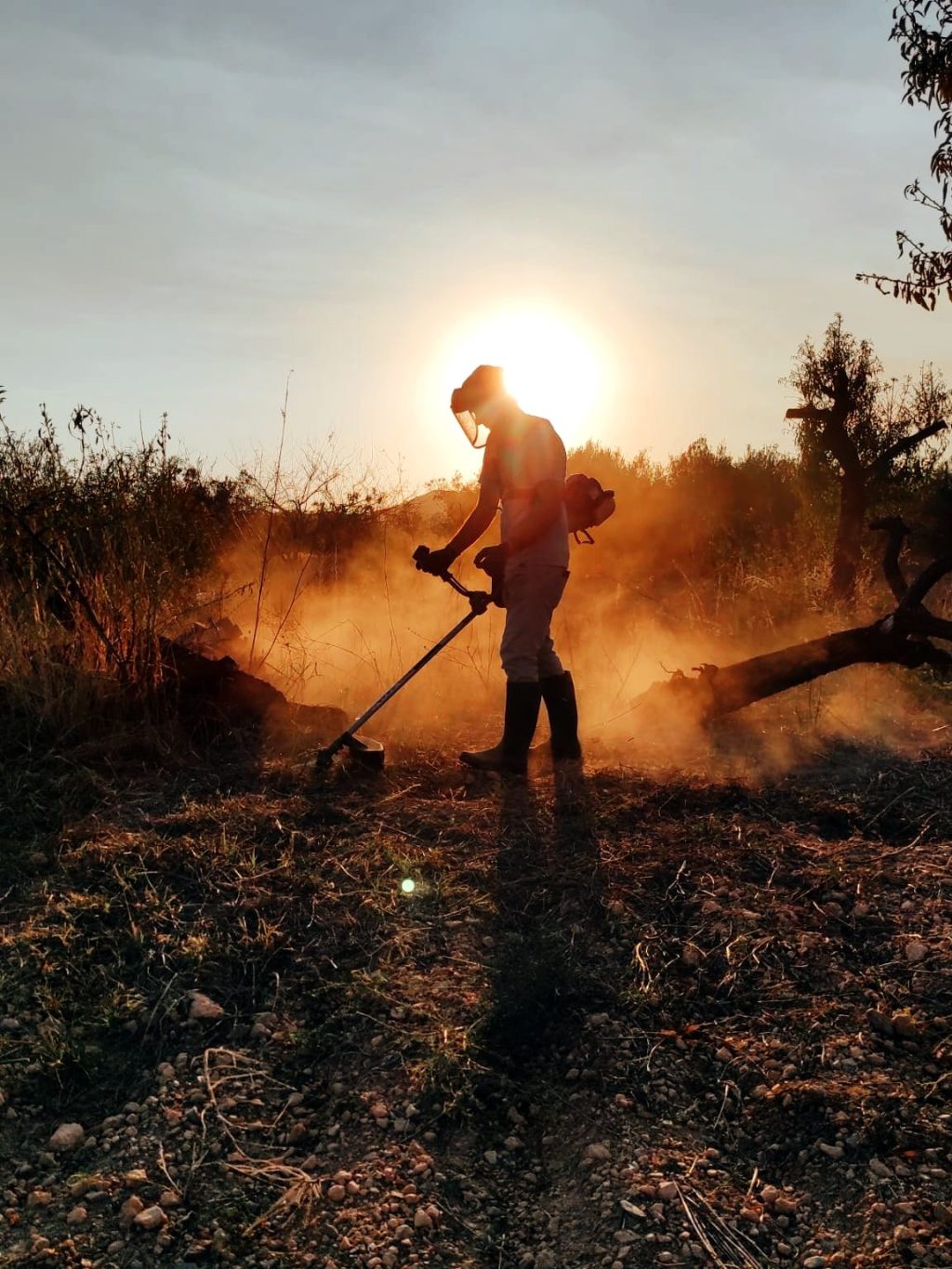 La selva impenetrable